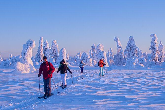 Full-Day Snowshoeing Adventure in Amethyst Mine Pyhä Luosto - Price and value: is $250.17 worth it?