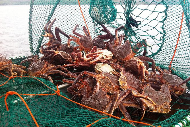Full-Day Trip: King Crab Safari to Norway from Saariselkä Including Lunch - Who this tour suits best (and who might want to choose something else)