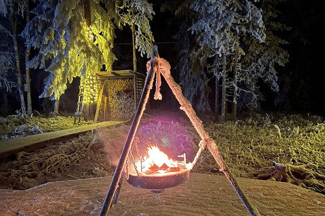 Glass Igloo Campfire Dinner under Northern Lights - Private Tour Advantage: Why It Feels Better in Winter