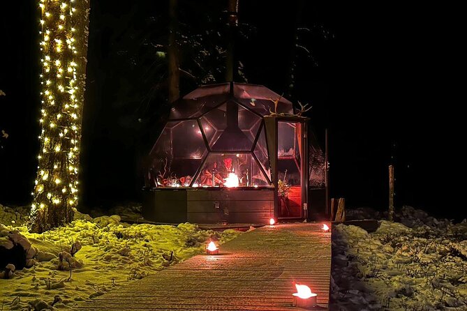 Glass Igloo Campfire Dinner under Northern Lights - Who This Tour Fits Best (and Who It Might Not)