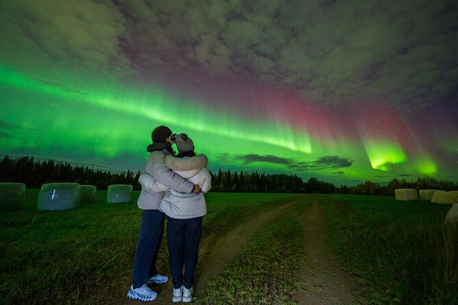Go on a Northern Lights Photography Tour - Small Group by minivan - What I love about the tour, and why it matters for you