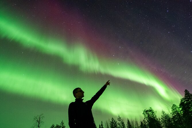 Go on a Northern Lights Photography Tour - Small Group by minivan - Entering the night: pickup, timing, and what to expect