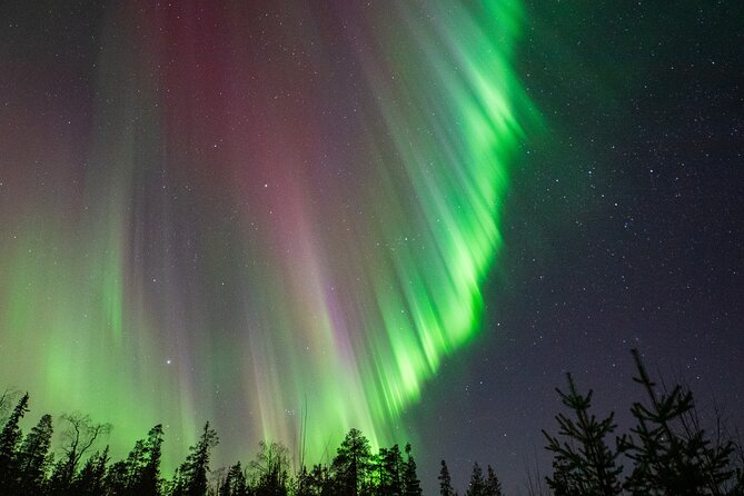 Go on a Northern Lights Photography Tour - Small Group by minivan - Stop 1 in Lapland: your first real photo moment