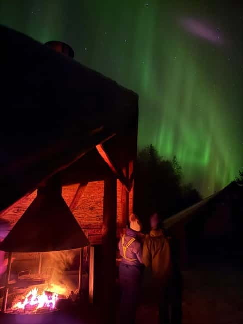 Guarantee Northern Lights Hunt by Minibus With Local Guide - Why this Lapland aurora hunt feels more realistic than DIY
