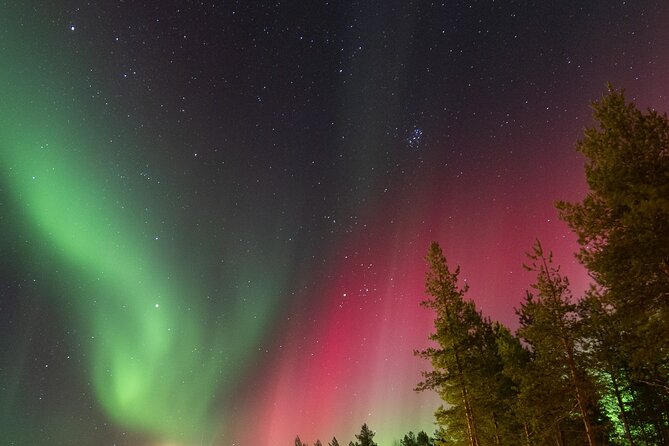 Guaranteed Aurora Hunting Tour from Rovaniemi with Local Guide - What you get in the van: hand warmers, photo help, and 5G WiFi