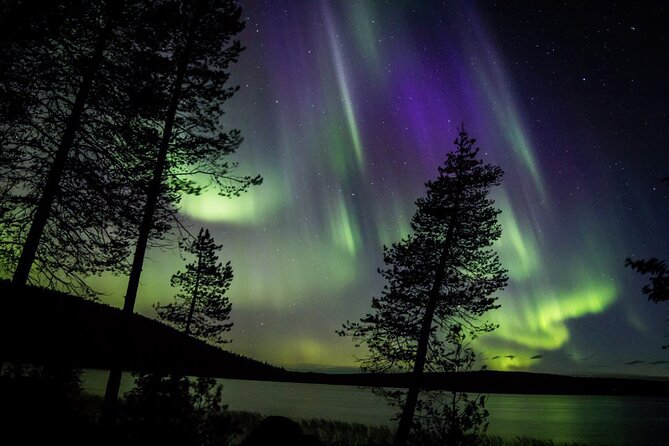 Guaranteed Aurora Hunting Tour from Rovaniemi with Local Guide - What to bring, and what not to bring