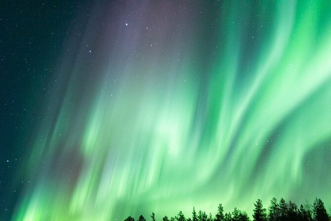 Guaranteed Aurora Hunting Tour from Rovaniemi with Local Guide - Price and value: $191.88 per person