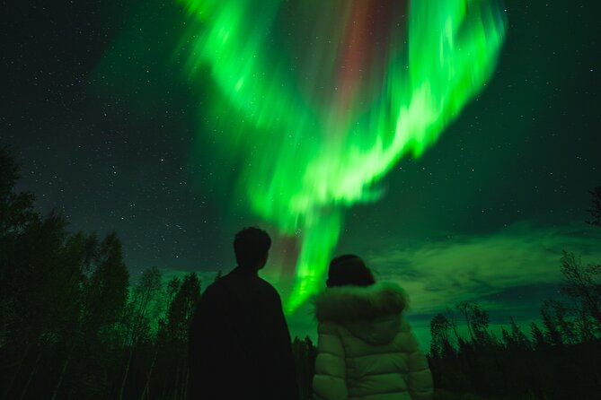 Guaranteed Northern Lights Group Tour with Photos - The Lapland route: how the night chase typically runs