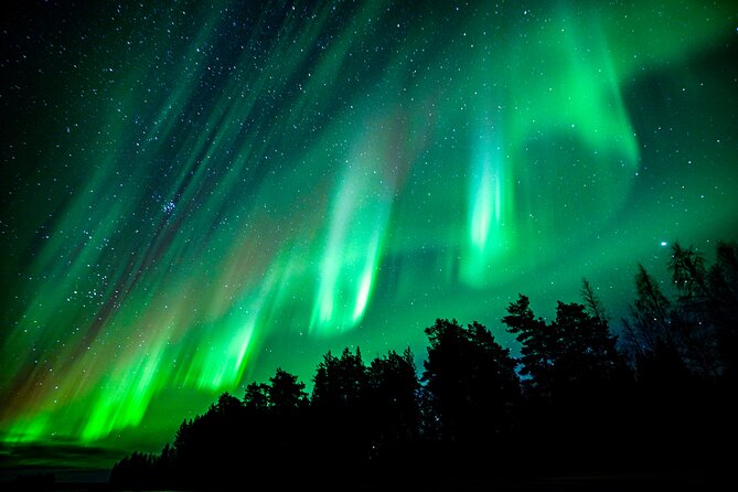 Guaranteed Northern Lights Hunting Adventure in Lapland - When You Should Choose This Tour (And When You Might Skip It)