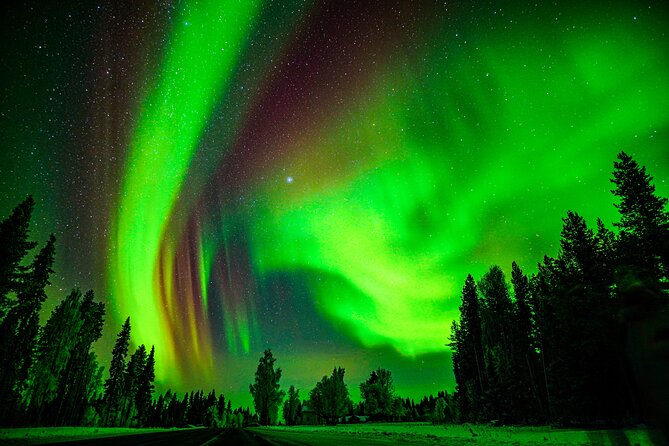 Guaranteed Northern Lights Hunting Adventure in Lapland - Should You Book This Aurora Hunt From Rovaniemi?