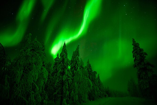 Guaranteed Northern Lights Hunting Adventure in Lapland - The Evening Plan, From Pick-Up to Wilderness Stops