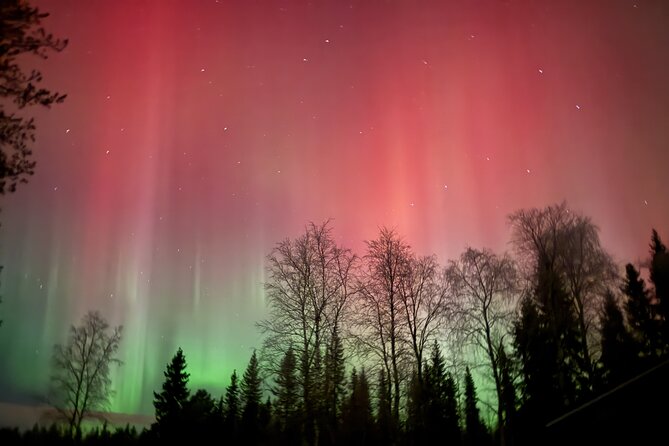 Guaranteed Northern Lights Tour in Rovaniemi - Pickup, vans, and why max 8 travelers feels better at night