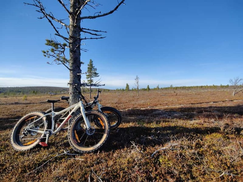 Guided Fatbike Tour in Ivalo - Key highlights you will actually care about