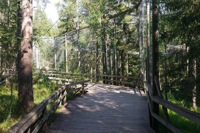 Guided Ranua Wildlife Park tour with Lunch, Small group adventure - What to wear for Ranua, since the day runs in all weather