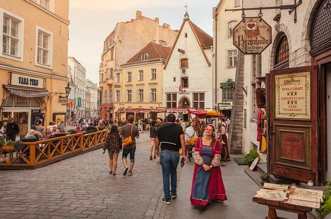 Guided Tallinn Day Tour from Helsinki / Include hotel transfers - Kohtuotsa viewpoint: the high-angle reality check