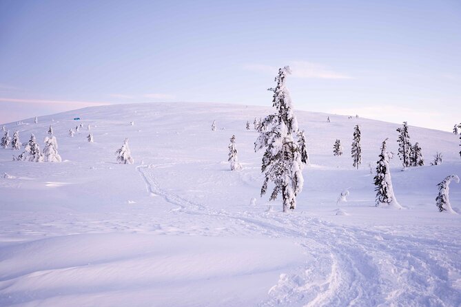Half-Day Backcountry Skiing Tour in Levi with Photography Guide - The Photo Part: How the Photography Guide Makes It Feel Like a Memory, Not Just Exercise