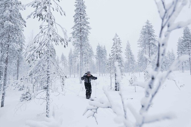 Half-Day Backcountry Skiing Tour in Levi with Photography Guide - From the 10:00 Start to Ski Gear: What Your Half-Day Actually Includes