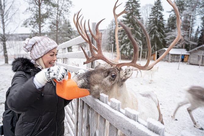 Half-Day Experience in Local reindeer farm in Lapland - Warm snacks and hot drinks in the cozy hut