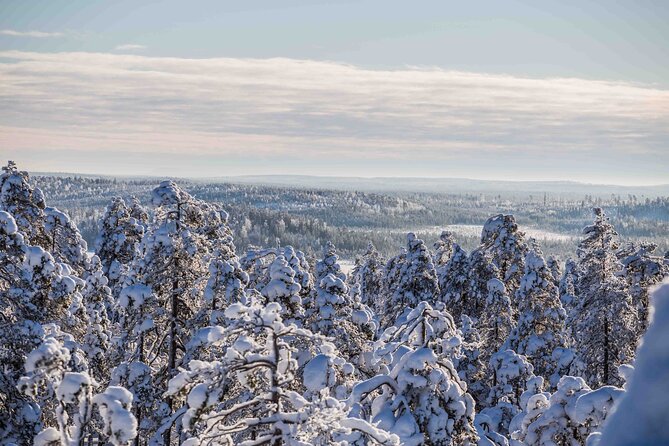 Half Day Guided Tour in the Wilderness of Levi - Stop for fire, snacks, and light lunch: the best part of most winter days