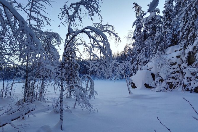 Half-Day Nature Adventure to Nuuksio National Park from Helsinki - Key things to know before you go