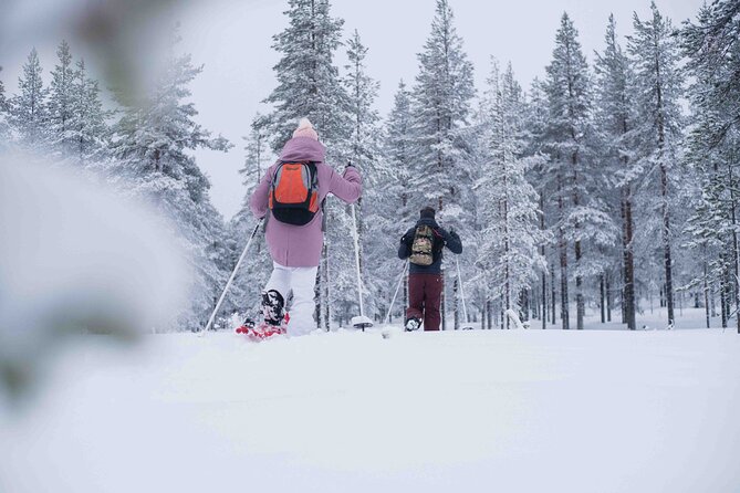 Half Day Snowshoe Hiking Adventure in Levi Lapland - Price and Value: What $113.79 Buys You in Levi Lapland