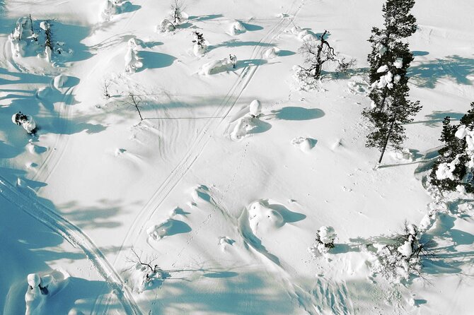 Half Day Snowshoe Hiking Adventure in Levi Lapland - Pickup Details in Levi: How to Plan Without Stress