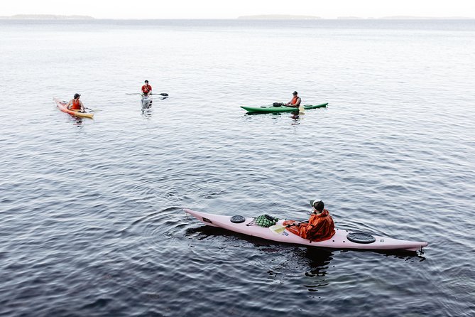 Helsinki by Kayak - A snack break on an island where the air actually changes