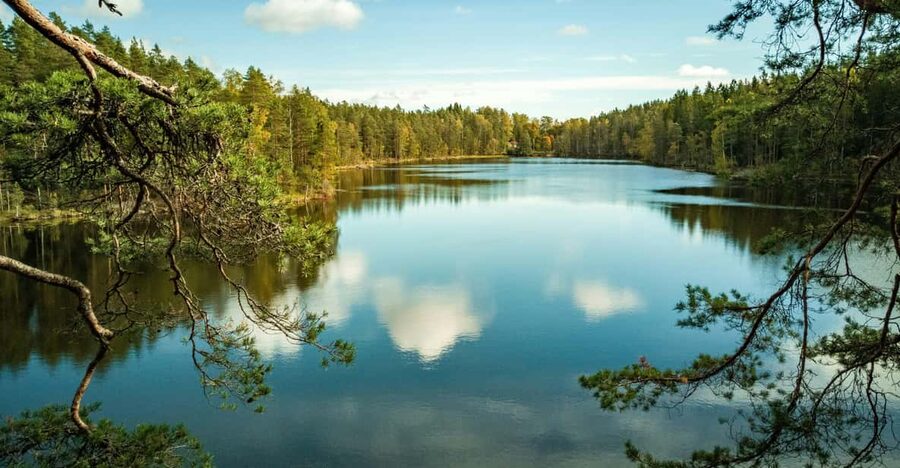 Helsinki: Nuuksio National park hiking with campfire lunch - Should you book this Nuuksio campfire hike