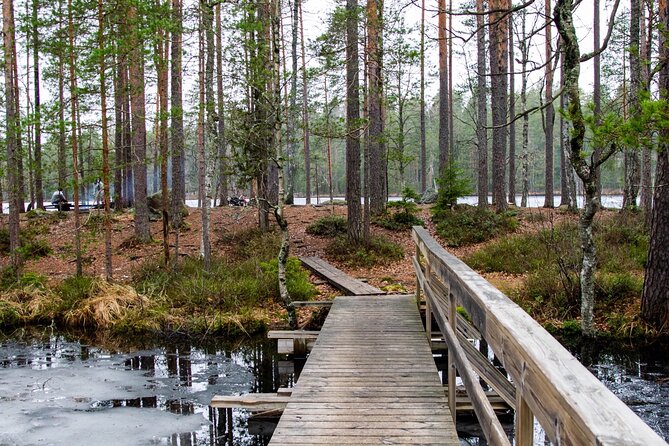 Helsinki: Nuuksio National park hiking with campfire lunch - Nuuksio National Park from Helsinki: why this hike feels like a real escape