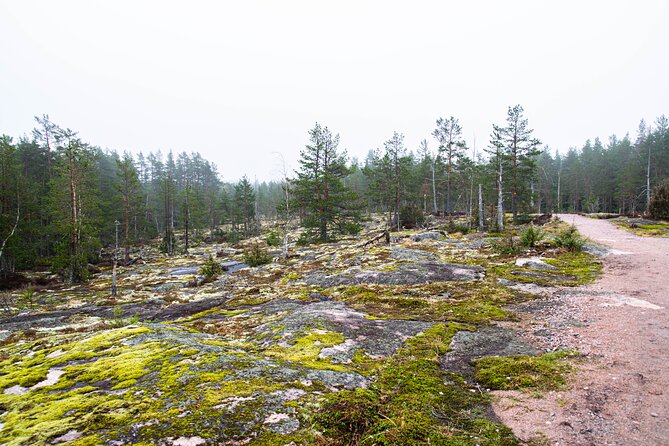 Helsinki: Nuuksio National park hiking with campfire lunch - The guide experience: why Nikolai, Patricia, and Szabi get repeated praise