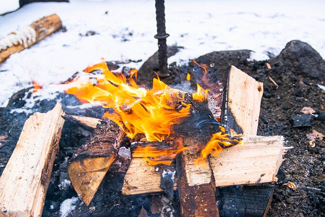 Helsinki: Nuuksio National park hiking with campfire lunch - Price and value: what you get for around $141