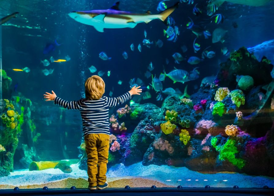Helsinki: Sea Life Entrance Tickets - Conservation Cove and climate change topics you can handle in one go