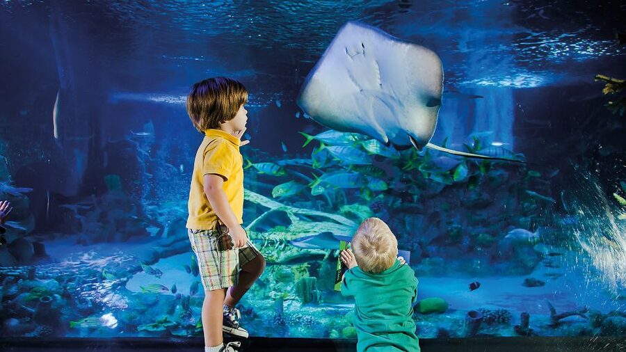 Helsinki: Sea Life Entrance Tickets - What your $27 ticket really covers