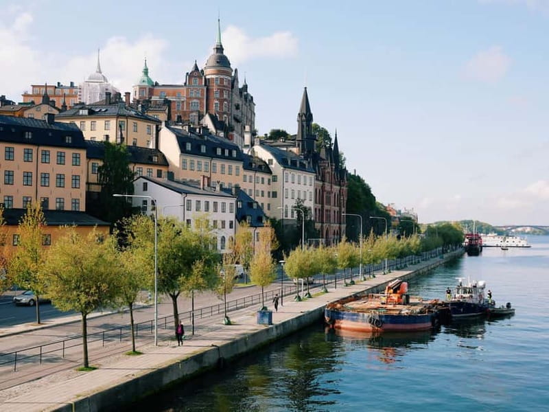Helsinki-Stockholm Oneway Overnight Cruise with Cabin Stay - Families, couples, and solo travelers: who this cruise suits best