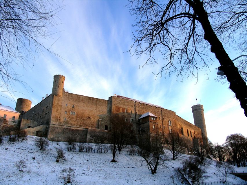 Helsinki: Tallinn Guided Day Tour with Ferry Crossing - Returning to Helsinki: timing matters and comfort helps