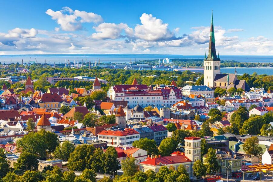 Helsinki: Tallinn Guided Day Tour with Ferry Crossing - West Terminal 2 to the Old Town van ride: why that 15-minute transfer is a gift
