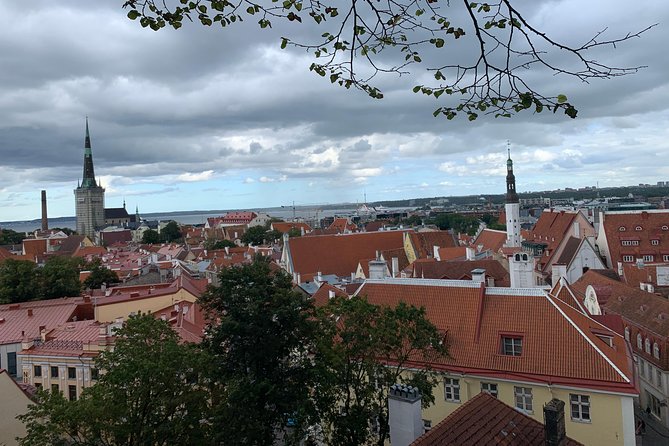 Helsinki to Tallinn Guided Tour -cruise ticket & pick up included - Ferry Across the Gulf of Finland: 2 Hours 15 Minutes of Motion