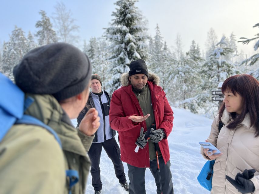 Helsinki: Winter Wonderland Liesjärvi National Park Hike - Why Liesjärvi feels different from Helsinki in winter