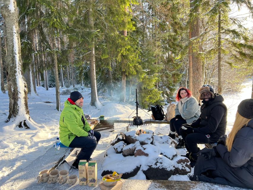 Helsinki: Winter Wonderland Liesjärvi National Park Hike - Wildlife signs, plant clues, and the fun part of noticing winter