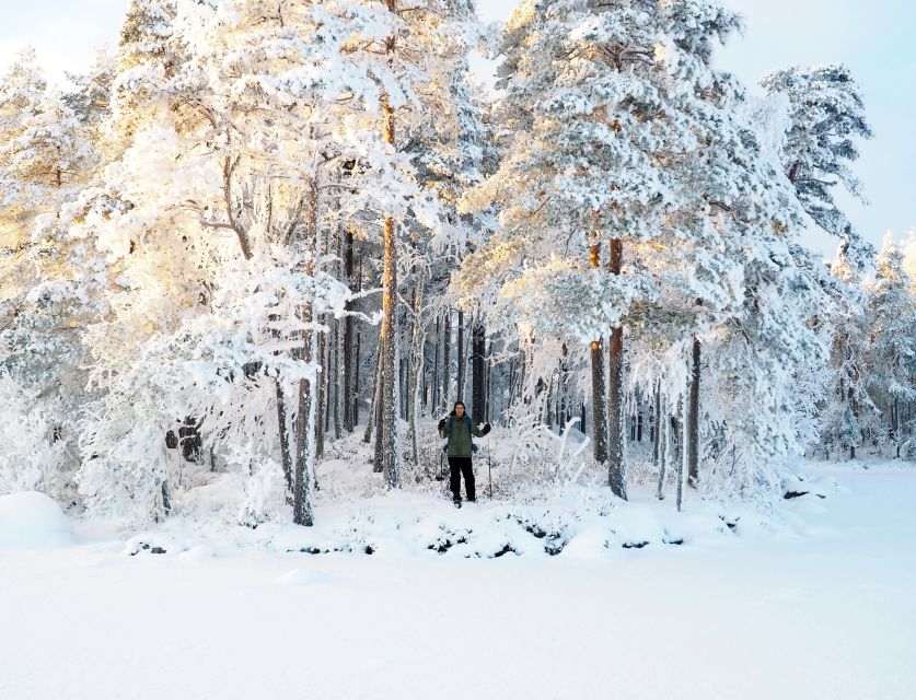 Helsinki: Winter Wonderland Liesjärvi National Park Hike - After lunch: the quiet second hike and time to take it all in