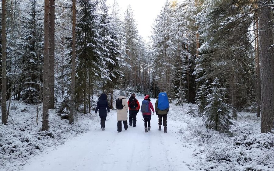 Helsinki: Winter Wonderland Liesjärvi National Park Hike - Price and value: why about $182 can be fair for a guided winter day