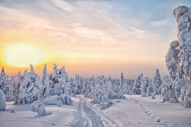 Hike to Frozen Waterfalls of Korouoma Including BBQ Lunch from Rovaniemi - BBQ lunch by the fire: where the day turns into a story