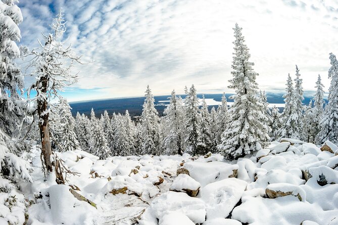 Hike to Frozen Waterfalls of Korouoma Including BBQ Lunch from Rovaniemi - Guide approach: safety, pacing, and real Lappish context
