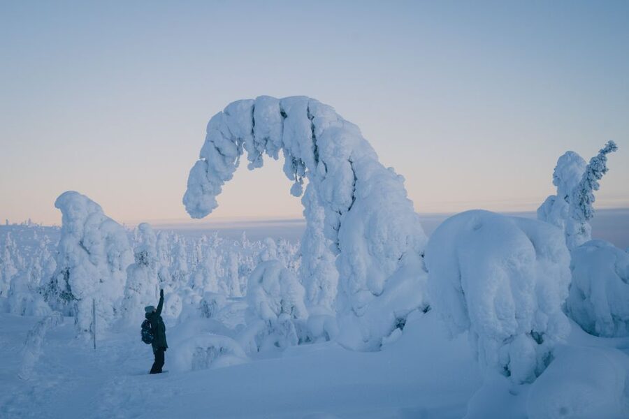 Hiking in Riisitunturi National Park with Photographer - Pickup and the drive from Rovaniemi (about 2.33 hours each way)