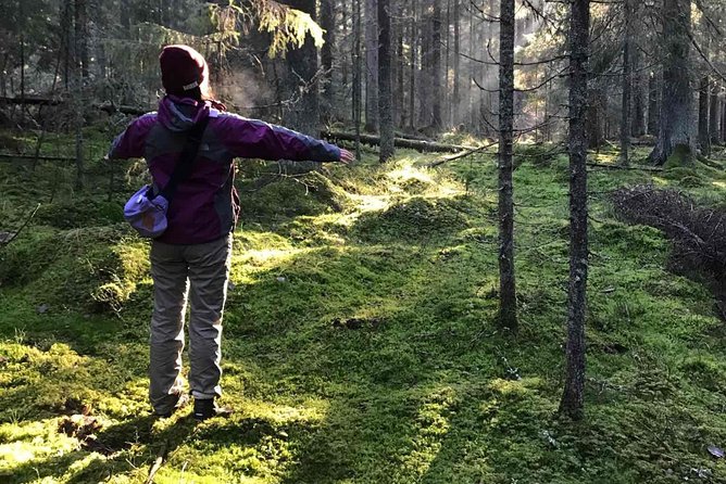 Hiking tour in Nuuksio National Park with meal and snacks - Key Highlights You Should Not Miss