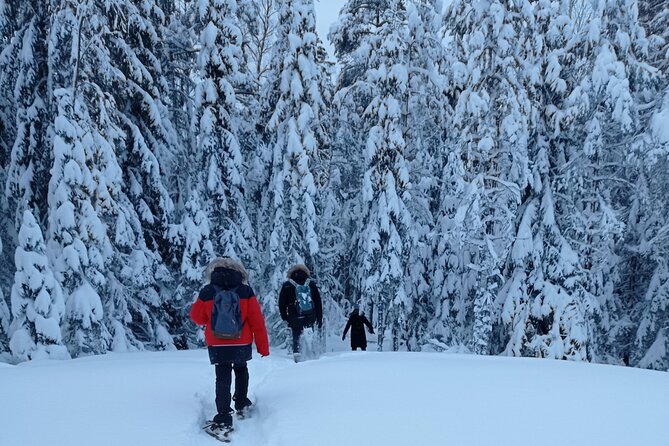 Hiking tour in Nuuksio National Park with meal and snacks - Getting Out of Helsinki Fast, With a Real Park Day