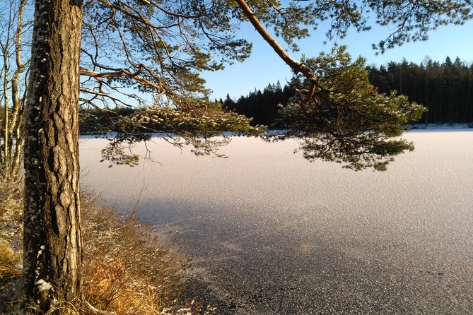 Hiking tour in Nuuksio National Park with meal and snacks - Food and Warm Drinks: Glögi, Soup, Bread, and Snacks