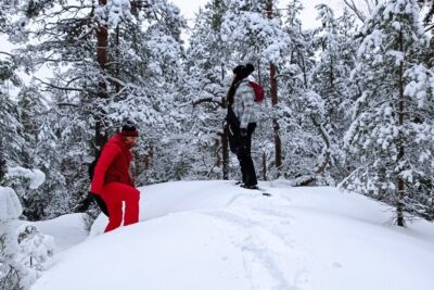 Hiking tour in Nuuksio National Park with meal and snacks