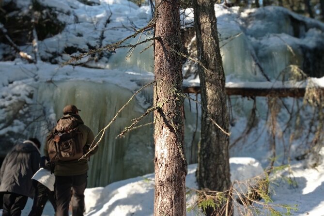 Hiking tour in Nuuksio National Park with meal and snacks - Stop in Nuuksio National Park: What You Do, What You Learn