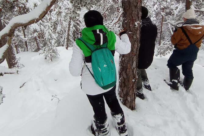 Hiking tour in Nuuksio National Park with meal and snacks - What the Guide Adds: David’s Forest Storytelling and Practical Help